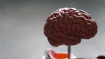 Brain-boosting foods we love